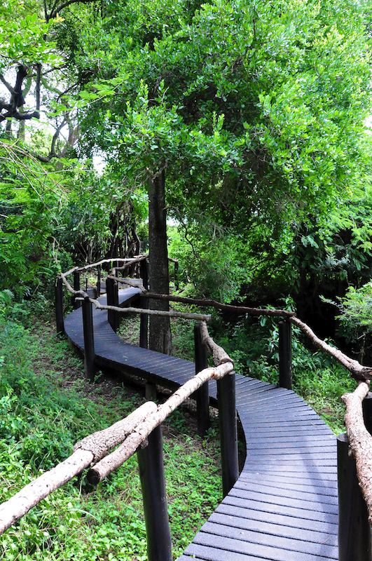 Melanie Heinrich - travel images - Lion Sands Private Game Reserve